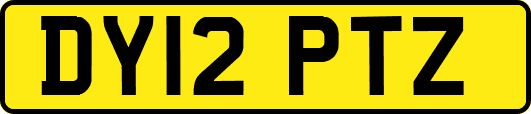 DY12PTZ