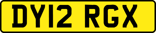 DY12RGX