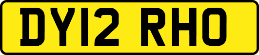 DY12RHO