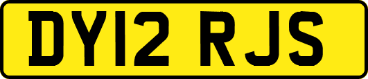 DY12RJS
