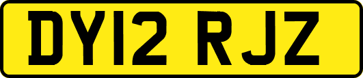 DY12RJZ