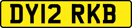 DY12RKB