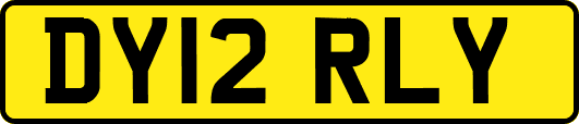 DY12RLY