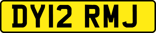 DY12RMJ