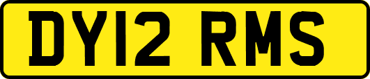 DY12RMS