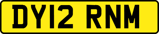 DY12RNM