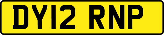 DY12RNP