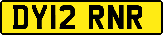 DY12RNR