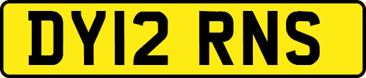 DY12RNS