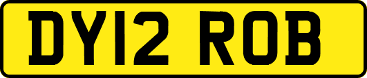 DY12ROB