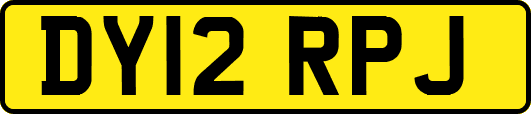 DY12RPJ