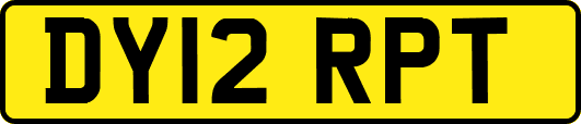 DY12RPT