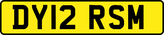 DY12RSM
