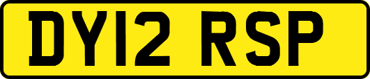 DY12RSP