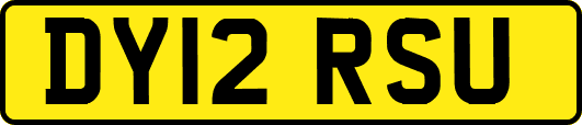 DY12RSU