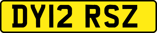 DY12RSZ