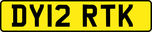 DY12RTK