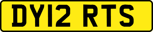 DY12RTS