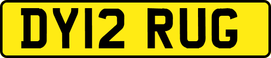 DY12RUG