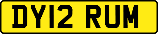 DY12RUM