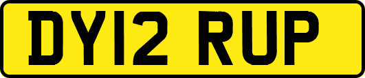 DY12RUP