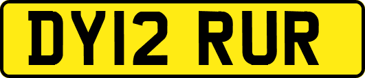 DY12RUR