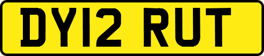 DY12RUT