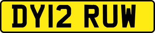 DY12RUW