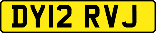 DY12RVJ