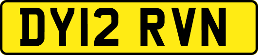 DY12RVN