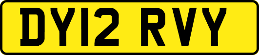 DY12RVY
