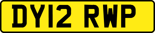 DY12RWP