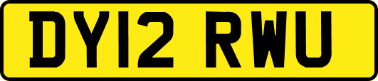 DY12RWU