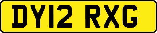 DY12RXG