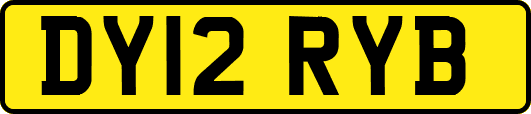 DY12RYB