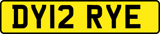 DY12RYE