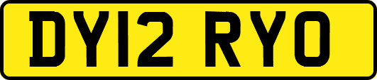 DY12RYO