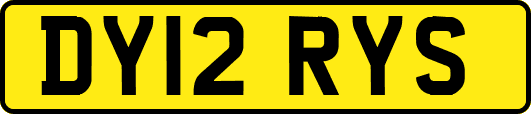 DY12RYS