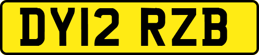 DY12RZB