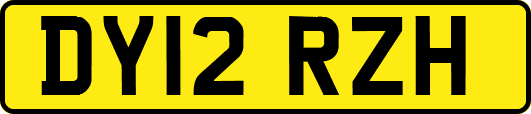DY12RZH