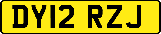 DY12RZJ