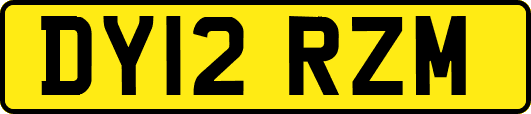DY12RZM