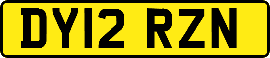 DY12RZN