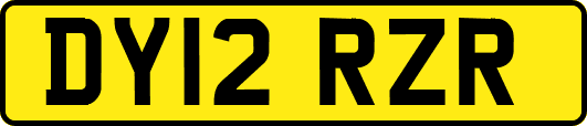DY12RZR