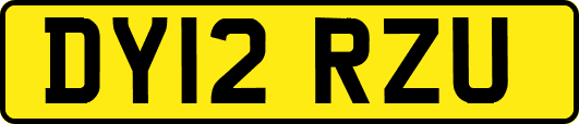 DY12RZU
