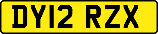 DY12RZX
