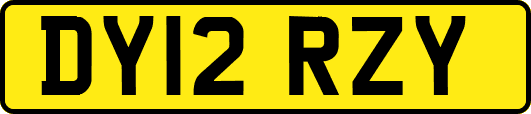 DY12RZY