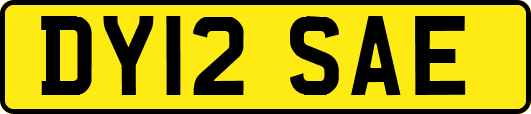 DY12SAE