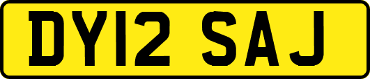 DY12SAJ
