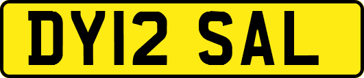 DY12SAL